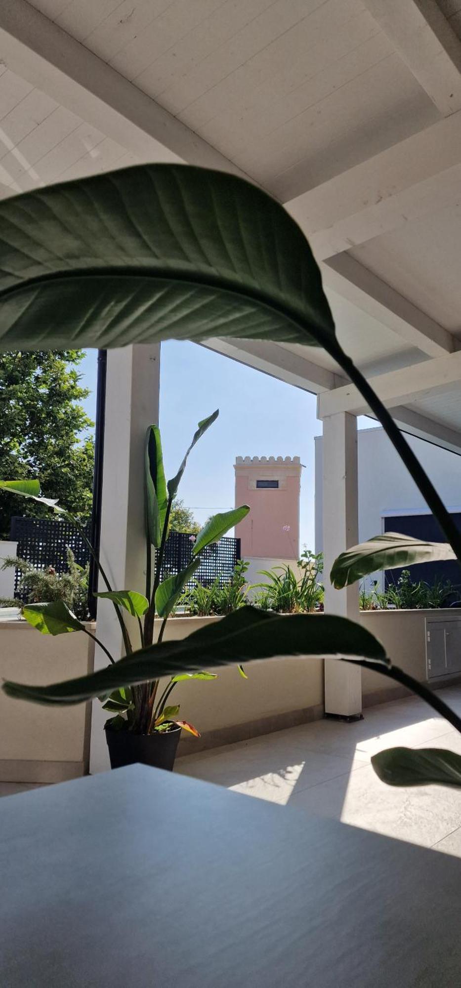 Thalassa Rooms อาโวลา ภายนอก รูปภาพ
